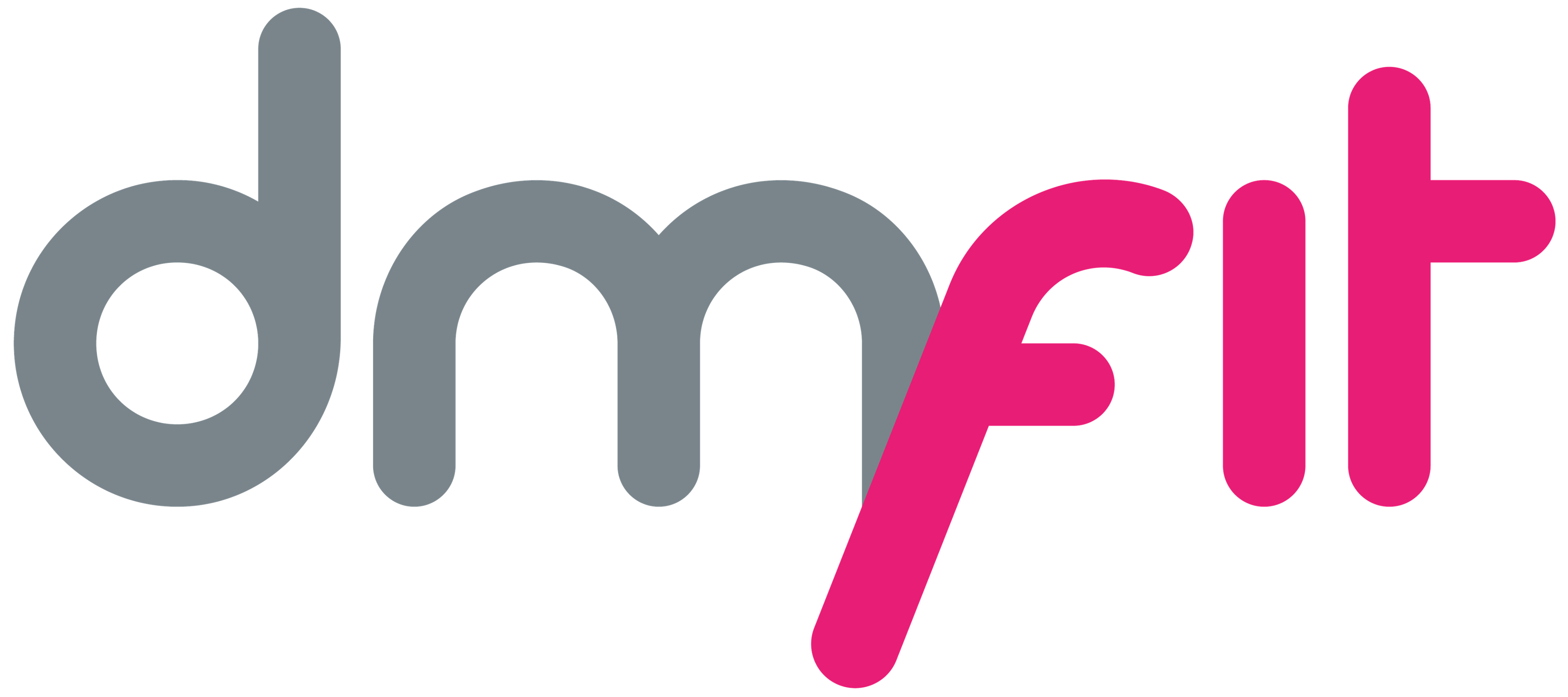Dmfit